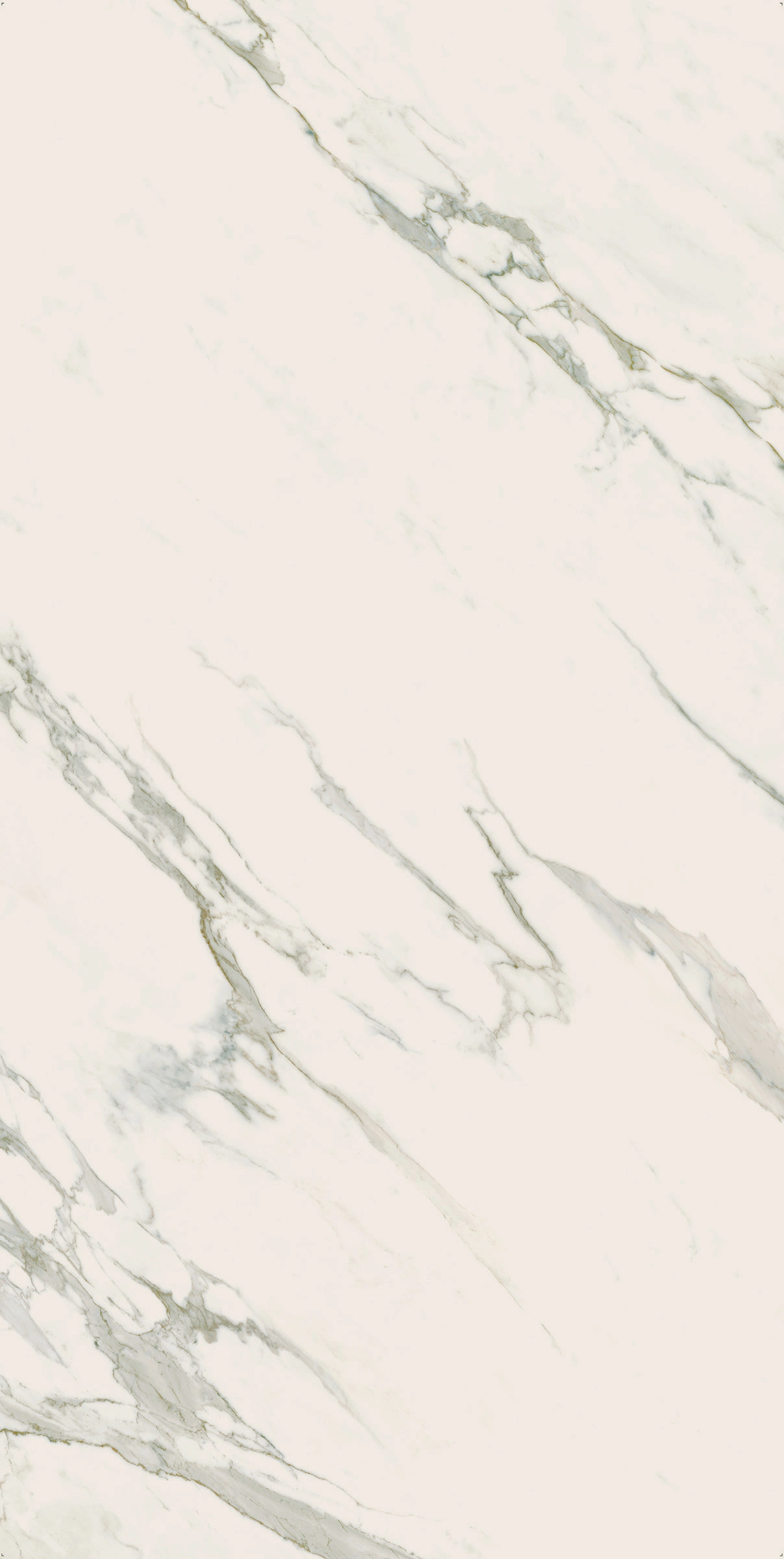 Ava ceramica Marmi Calacatta SlabB 240X120 cm